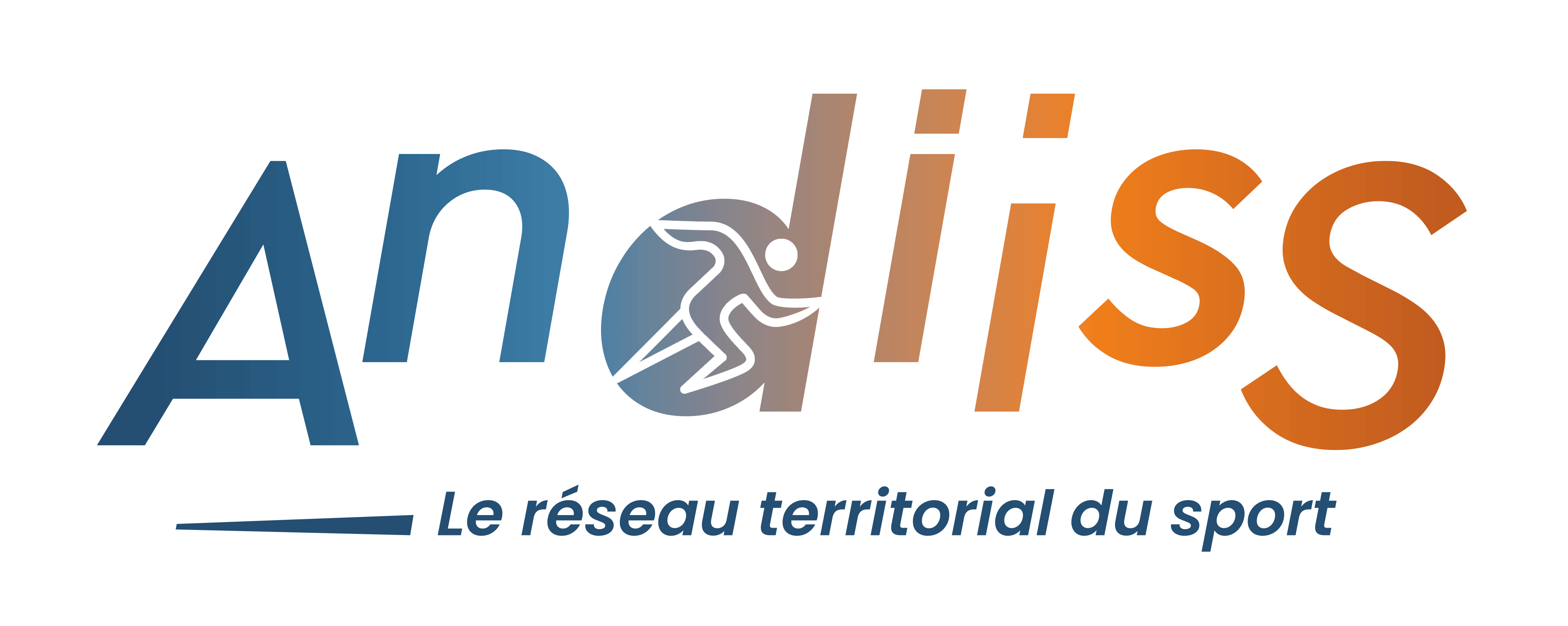 Logo ANDIISS