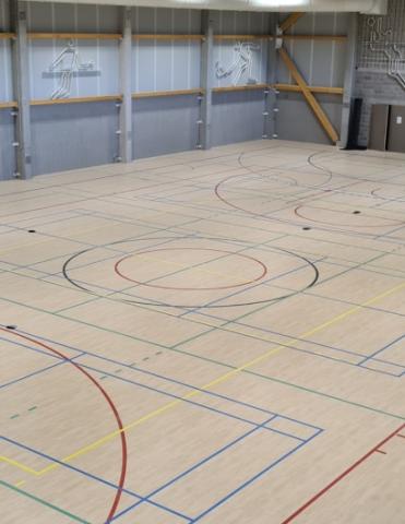 revêtement de sol sportif vinyle parquet massif