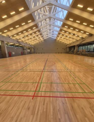 parquet massif centre sportif Blanc Gravier