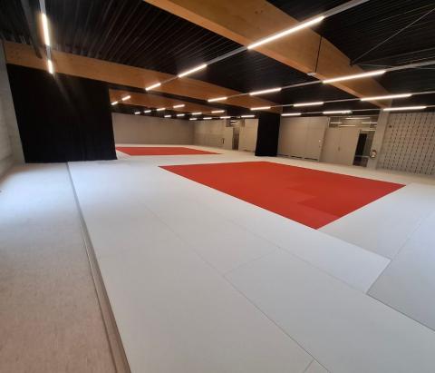 aménagement d'une salle de judos avec tatamis